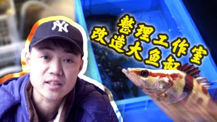 虎魚不怎么喜歡游怎么辦：對于您的虎魚不怎么喜歡游的問題