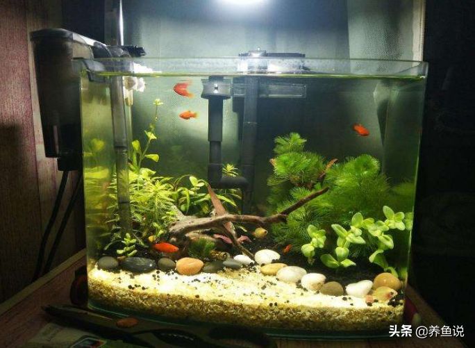 不養(yǎng)魚了魚缸怎么處理掉：不養(yǎng)魚了的魚缸處理方法 魚缸百科 第3張