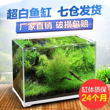 森森600魚缸造景：森森600魚缸造景的基本步驟 森森魚缸