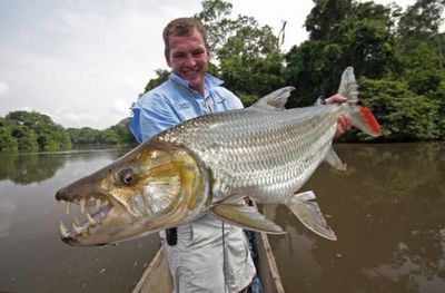 虎魚(yú)捕食：虎魚(yú)在捕食時(shí)表現(xiàn)出極高的速度和準(zhǔn)確性，虎魚(yú)捕食行為揭示重要作用