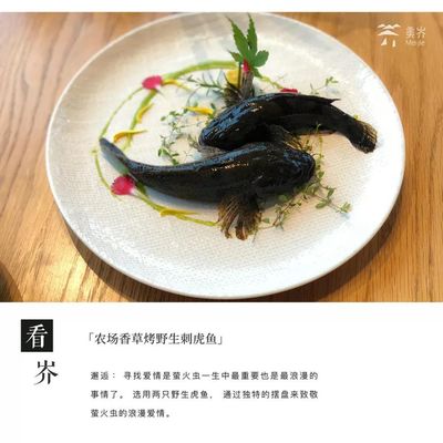 虎魚好吃不：清蒸虎魚的做法顯示虎魚不僅美味還具有營(yíng)養(yǎng)價(jià)值 虎魚百科 第2張