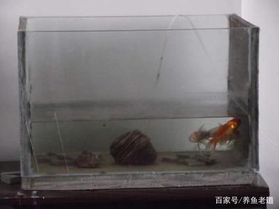 玻璃魚(yú)缸突然爆裂什么原因：玻璃魚(yú)缸爆裂的原因及預(yù)防措施 魚(yú)缸百科 第1張