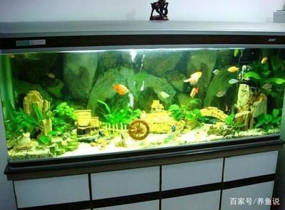 大型魚缸魚生病怎么處理好：大型魚缸中魚生病的治療誤區(qū)在治療魚病時一些常見的誤區(qū) 魚缸百科 第1張