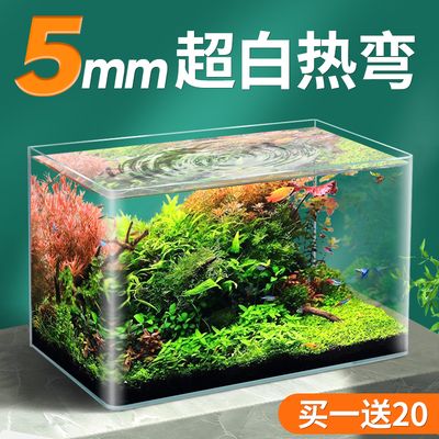 北方魚缸水草繁殖基地在哪：東明縣鑫源觀賞水草繁殖基地東明縣鑫源觀賞水草養(yǎng)殖基地 魚缸百科 第4張