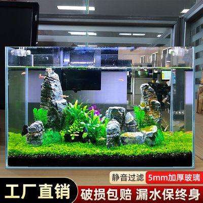 斗魚魚缸造景布置圖：如何打造一個夢幻魚缸