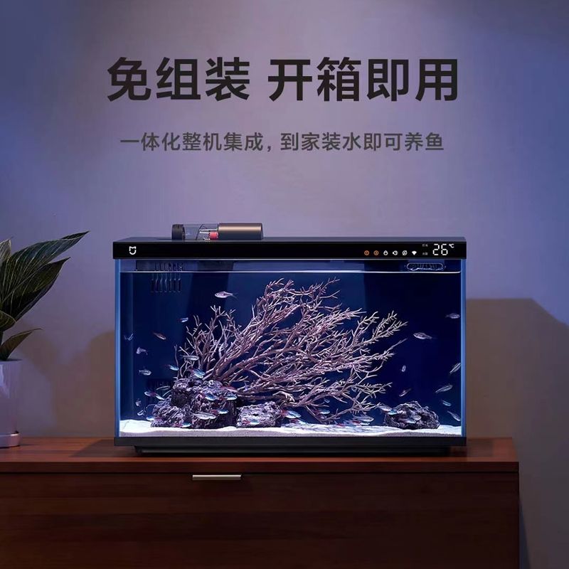 辦公室魚缸養(yǎng)什么魚：辦公室養(yǎng)魚的風水注意事項 魚缸百科 第3張