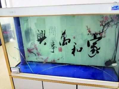 成品魚缸漏水能修嗎多少錢：成品魚缸漏水可以修復(fù)嗎魚缸漏水的修復(fù)方法是什么 魚缸百科 第3張