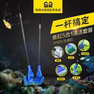 玻璃魚缸清洗妙招：洗清洗玻璃魚缸時(shí)，有幾種有效的方法可以幫助你輕松清潔魚缸 魚缸百科 第4張