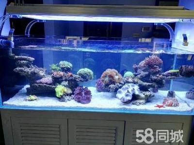 淡水哪里有賣魚缸的地方：廣州淡水魚缸哪里賣 魚缸百科 第2張