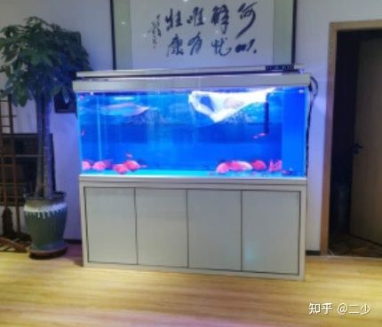 森森牌子的魚缸質(zhì)量如何：森森牌子的魚缸怎么樣？