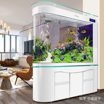 德克和森森水族箱哪個(gè)好：德克和森森水族箱對(duì)比分析森森水族箱各有其優(yōu)點(diǎn)和特點(diǎn) 森森魚缸