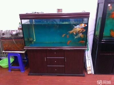 不用的大魚缸怎么處理：“不用的大魚缸怎么處理” 魚缸百科 第4張