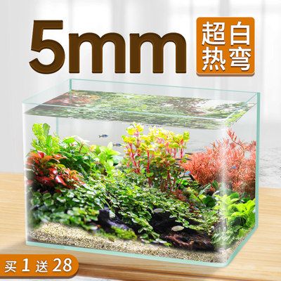 大型魚缸去哪里買比較便宜的：如何購買大型魚缸 魚缸百科 第3張