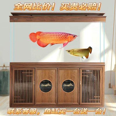 大型魚缸去哪里買比較便宜的：如何購買大型魚缸 魚缸百科 第1張