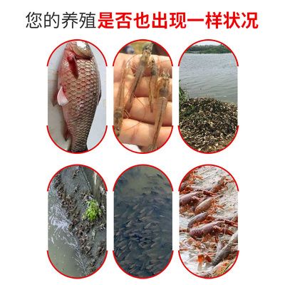 超市用水產(chǎn)養(yǎng)殖魚缸好嗎