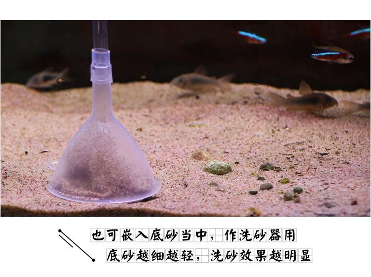 大魚缸怎么清理沙子視頻：如何清洗魚缸底沙？ 魚缸百科 第1張