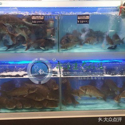 超市魚缸換水的正確方法 魚缸百科 第2張