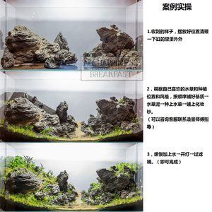 不用草缸還可以怎么給魚缸造景：不用水草泥和化妝沙進行魚缸造景的方法 魚缸百科 第1張