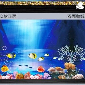 虎魚魚缸背景圖：虎魚魚缸背景圖的設(shè)計和選擇 虎魚百科 第1張