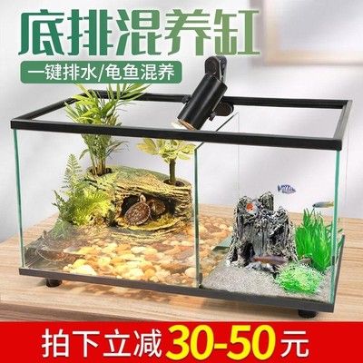 成品魚缸好還是自制魚缸好：成品魚缸與自制魚缸的優(yōu)缺點(diǎn)對比 魚缸百科 第3張