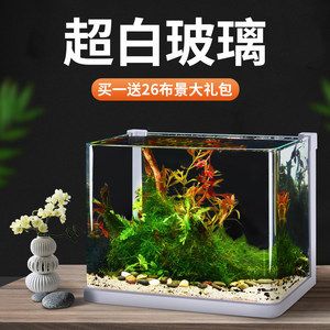 斗魚魚缸造景圖：斗魚缸造景教程和視頻 魚缸百科 第4張