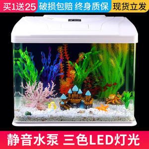 不用打理的魚缸有哪些品種