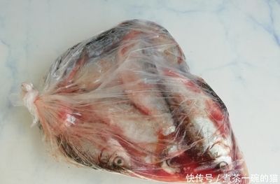 冷凍過的小魚可以喂龍魚嗎：冷凍過的小魚可以喂給龍魚嗎