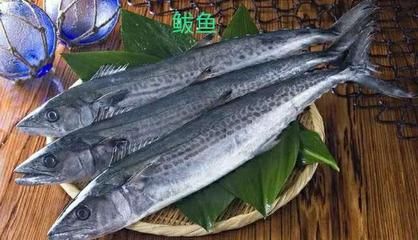 龍魚腹下黑色斑點(diǎn)：龍魚腹下黑色斑點(diǎn)是怎么回事？