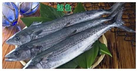 龍魚腹下黑色斑點(diǎn)：龍魚腹下黑色斑點(diǎn)是怎么回事？