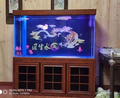 大型魚缸過濾器材怎么清洗：清洗大型魚缸過濾器材的優(yōu)缺點和優(yōu)缺點和缺點和缺點