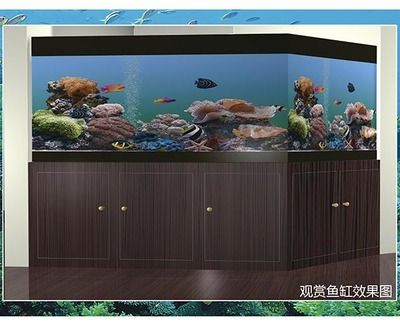 大型魚缸過濾器材怎么清洗：清洗大型魚缸過濾器材的優(yōu)缺點(diǎn)和優(yōu)缺點(diǎn)和缺點(diǎn)和缺點(diǎn) 魚缸百科 第4張