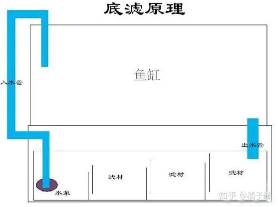 大魚缸清理水泵水管多少錢一個(gè)：大魚缸清理水泵水管價(jià)格因品牌、功能等因素而異