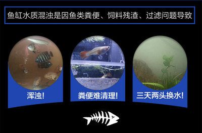 大型魚缸糞便怎么清理：如何清理大型魚缸糞便 魚缸百科 第4張