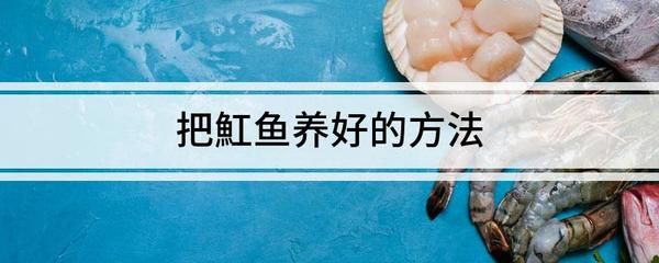 15公分魟魚每天吃多少：15公分大小的魟魚每天需要吃多少？ 魟魚百科 第1張