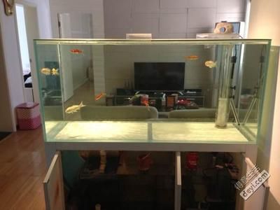 玻璃魚(yú)缸品牌十大排名：廣東閩江水族實(shí)業(yè)有限公司魚(yú)缸品牌排名 魚(yú)缸百科 第1張