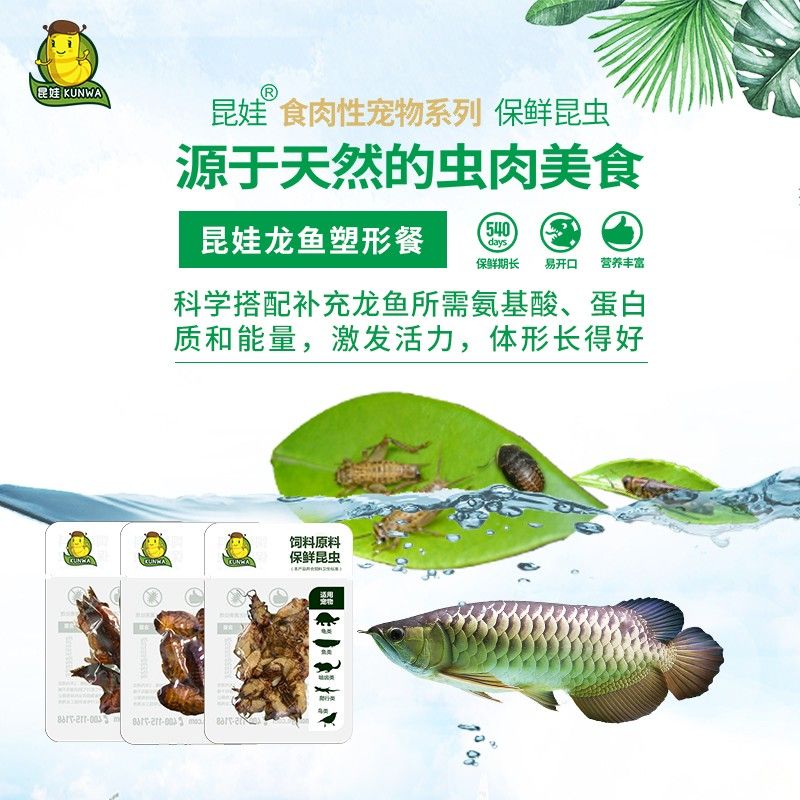 龍魚吃蜈蚣能增色嗎為什么：龍魚吃蜈蚣能增色嗎