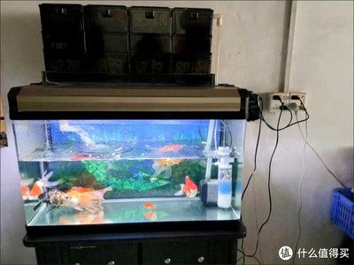 成品魚(yú)缸能改矮一點(diǎn)嗎？：成品魚(yú)缸改造技巧了解 魚(yú)缸百科 第2張