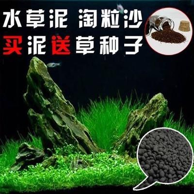 冬季魚缸水草培植：冬季魚缸水草的培植注意事項(xiàng) 魚缸百科 第4張