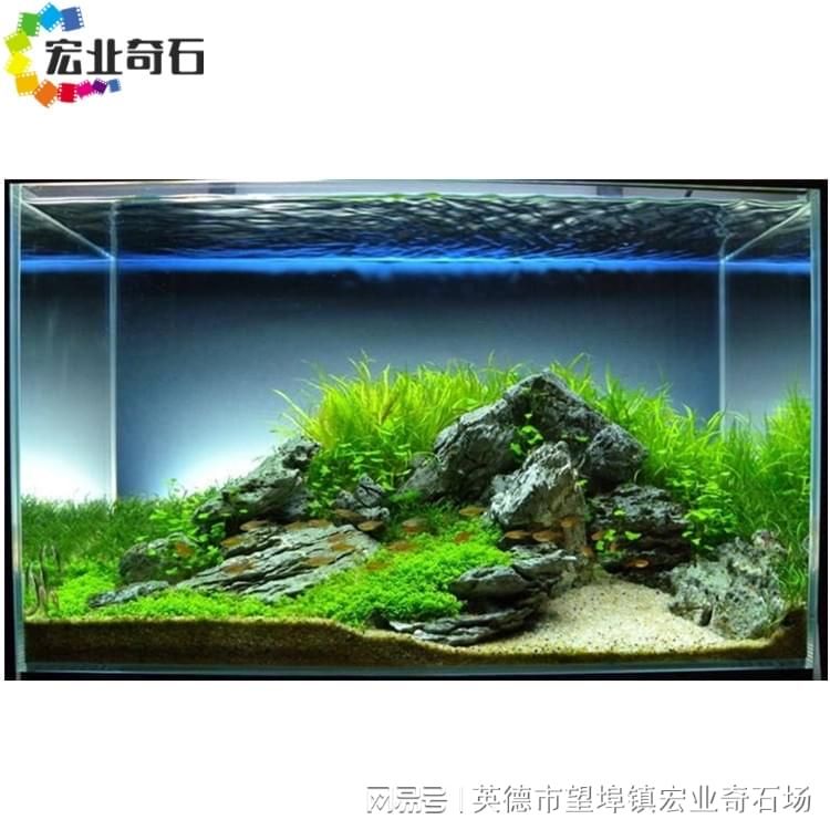 1.5米魚缸造景圖片大全及價(jià)格：1.5米魚缸造景圖片及價(jià)格 魚缸百科 第3張