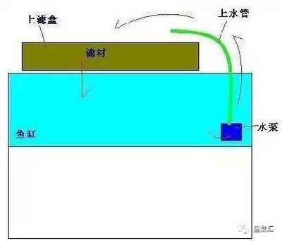 安彩魚缸過濾器怎么用的視頻：關(guān)于安彩魚缸過濾器的使用方法和使用方法的視頻教程