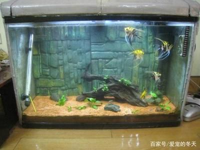 安彩魚缸過濾器怎么用的視頻：關(guān)于安彩魚缸過濾器的使用方法和使用方法的視頻教程