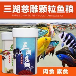 虎魚吃魚糧嗎會死嗎：虎魚吃魚糧會死嗎 虎魚百科 第3張