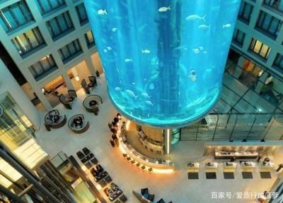 大興清洗魚缸的地方有哪些：北京勇創(chuàng)水族老店提供上門清洗魚缸服務(wù)提供上門清洗服務(wù) 魚缸百科 第1張