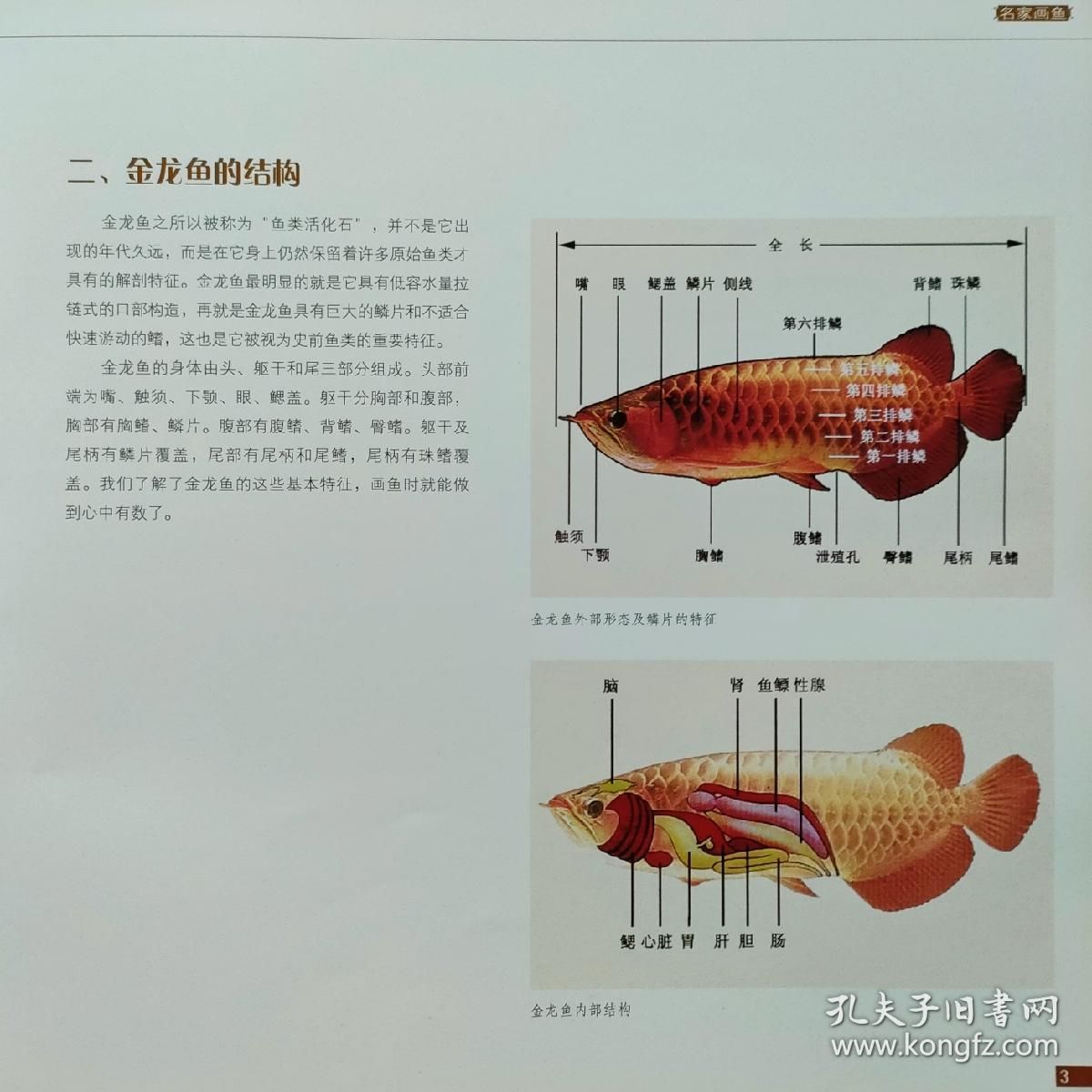 國畫 金龍魚：中國傳統(tǒng)文化的魅力，國畫金龍魚 龍魚百科 第3張