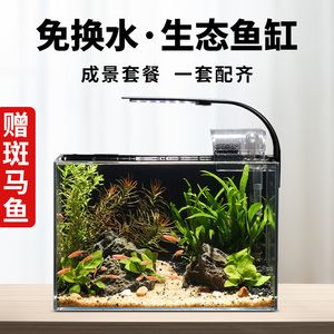 冬天魚缸如何換水：冬天魚缸換水需要注意水溫和溫差 魚缸百科 第3張