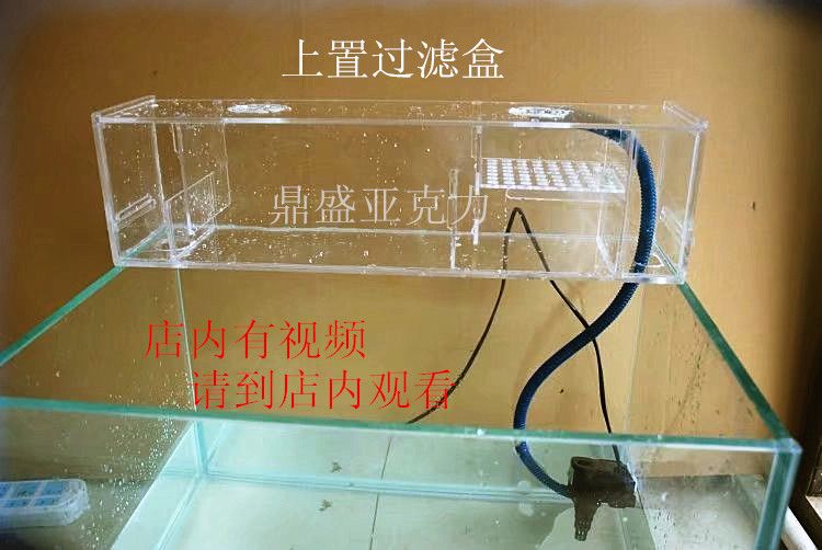 不用電的魚(yú)缸過(guò)濾器怎么用：自制魚(yú)缸過(guò)濾器的使用方法 魚(yú)缸百科 第1張