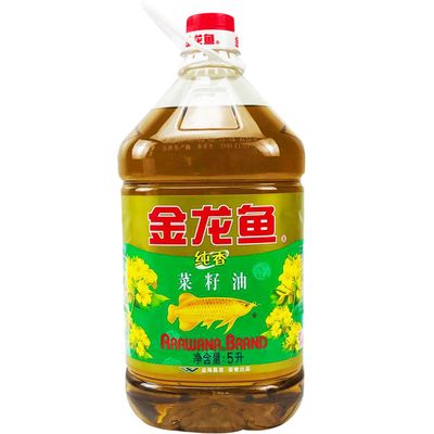 養(yǎng)龍魚的水位好還是高水位：養(yǎng)龍魚水位選擇的詳細解釋