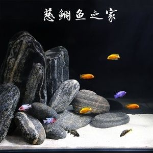 扁平魚缸造景：扁平魚缸造景設(shè)計(jì) 魚缸百科 第4張