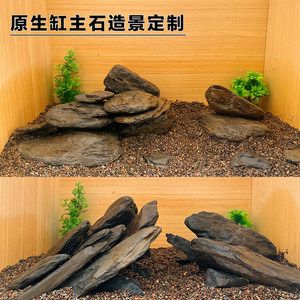 扁平魚缸造景：扁平魚缸造景設(shè)計(jì) 魚缸百科 第1張