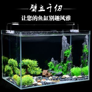 矮魚缸造景視頻：矮魚缸造景的基本步驟 魚缸百科 第4張